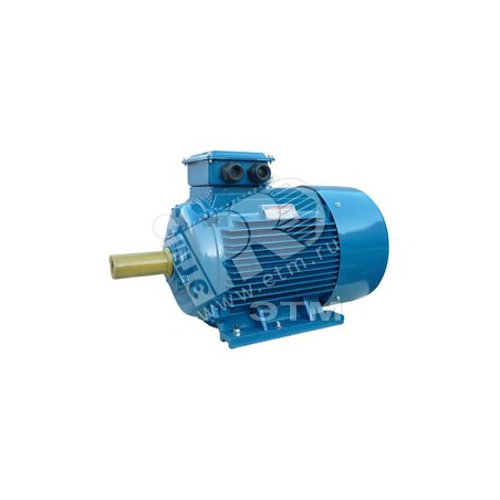 Электродвигатель 5АИ 200 М2 37/3000 IM 1001