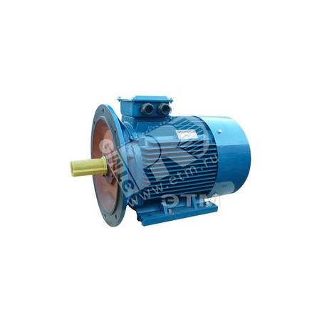 Электродвигатель 5АИ 225 М2 55/3000 IM 2001