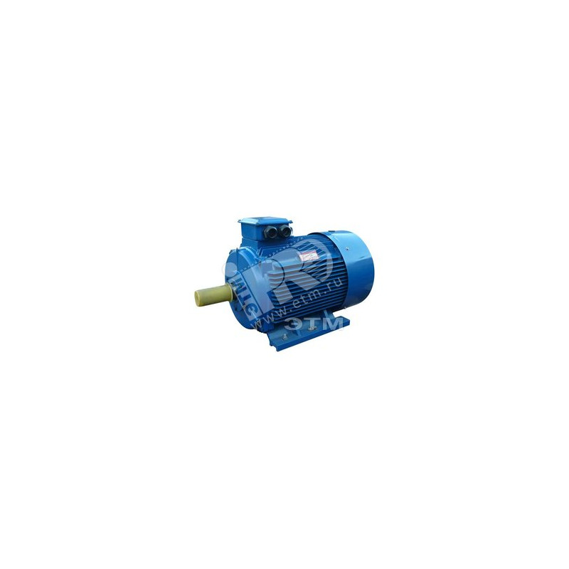 Электродвигатель 5АИ 315 М8 110/750 IM 1001