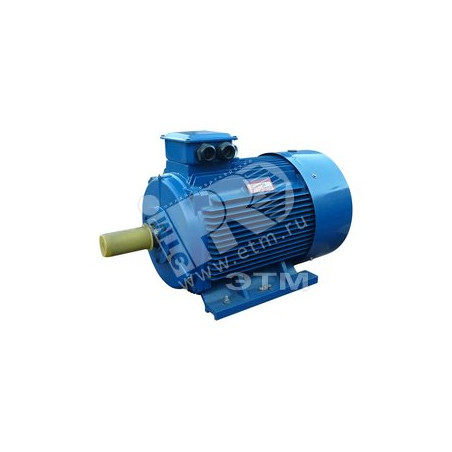 Электродвигатель 5АИ 315 М8 110/750 IM 1001
