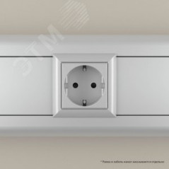 Avanti Розетка модульная 2P+E с з/ш Закаленная сталь 2 модуля