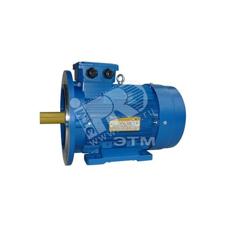 Электродвигатель 5АИ 100 L8 1.5/750 IM 2081