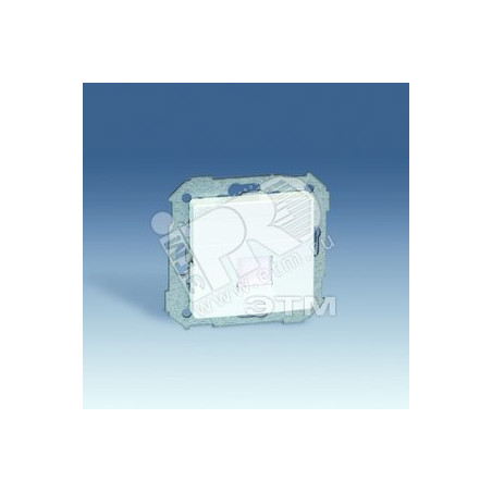 Адаптер на 1 RJ45(12) 75528-, 75540-, 75541-, 75544-39, шторка, S82,82N, шампань