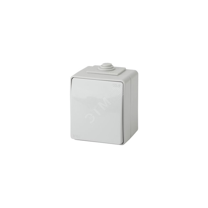 Переключатель IP65, 10АХ-250В, ОУ, Эра Эксперт, серый,11-1603-03