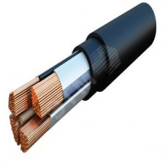 Кабель силовой ВВГнг(А) 4х50мс(N)-0.66