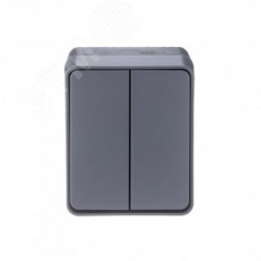 AtlasDesign Profi54 выключатель двухклавишный IP54 10 АХ, АНТРАЦИТ, Россия