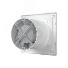 Вентилятор осевой вытяжной c антимоскитной сеткой и обратным клапаном D100