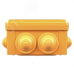 Коробка пластиковая FS с кабельными вводами и клеммниками IP55 100х100х50мм