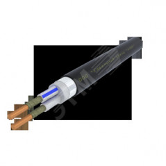 Кабель силовой ВВГЭанг(А)-FRLS 2х10.0 ок(N)-1 Ч. бар