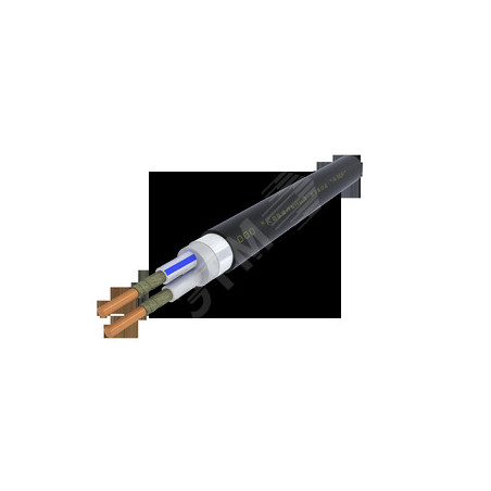 Кабель силовой ВВГЭанг(А)-FRLS 2х4.0 ок(N)-1 Ч. бар