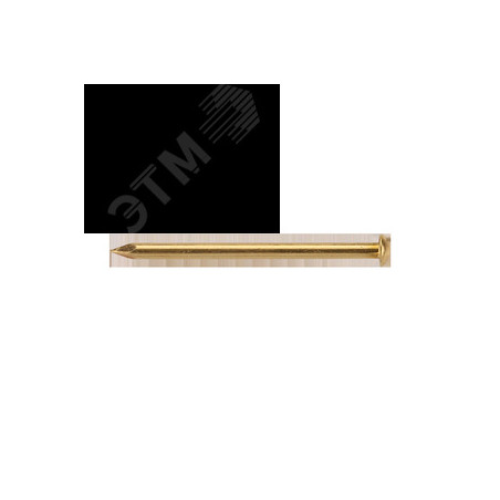 Гвоздь латунный 1,5х25 (25 гр.)