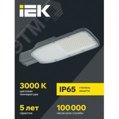 Светильник LED консольный уличный ДКУ 1004-100Ш 3000К IP65 серый