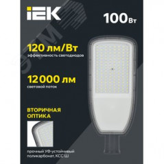 Светильник LED консольный уличный ДКУ 1004-100Ш 3000К IP65 серый