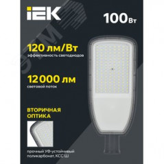 Светильник LED консольный уличный ДКУ 1004-100Ш 5000К IP65 серый