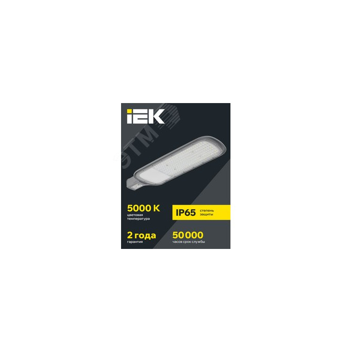 Светильник LED консольный уличный ДКУ 1012-200Ш 5000К IP65 серый