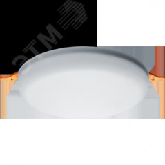 Светильник светодиодный ДВО-24w NLP-R2-24W-840-LED