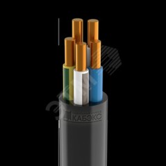 Кабель силовой ВВГнг(А)-LSLTx 5x6 ок(N, PE)-0.66