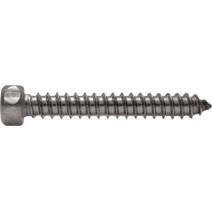 Саморез с шестигранной головкой DIN 7976 5,5x25 A2