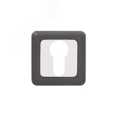 Накладка декоративная (комплект) под цилиндровый механизм замка, АЛЛЮР АРТ ET-S1 MBN/CP (4242) графи